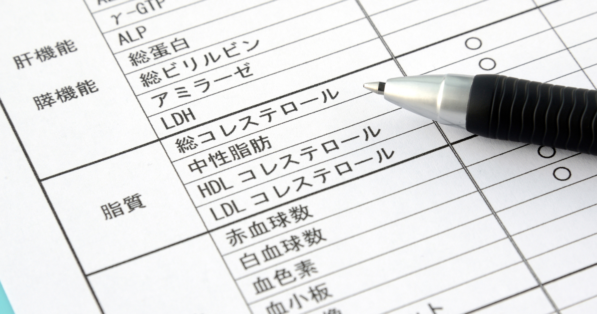 八王子市健康診査のご案内