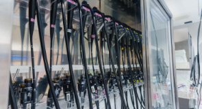 内視鏡検査・治療